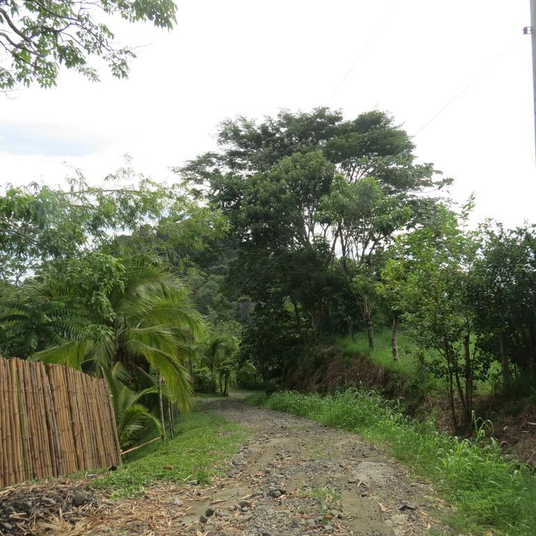 Apartamento Karibu Manuel Antonio Ruang foto