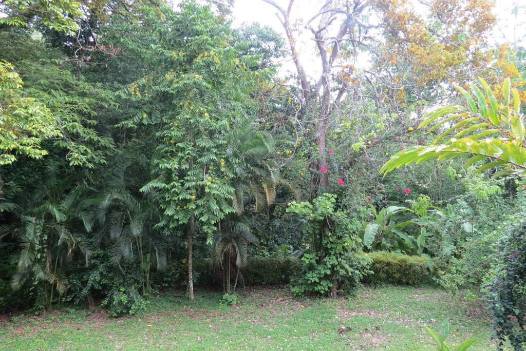 Apartamento Karibu Manuel Antonio Ruang foto