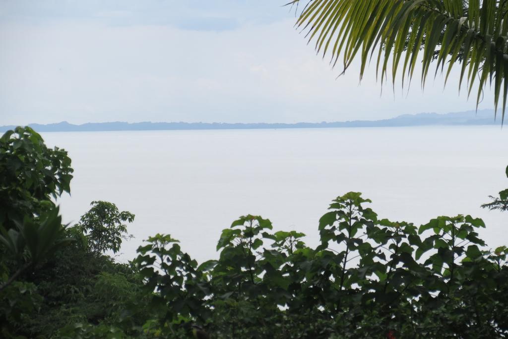 Apartamento Karibu Manuel Antonio Ruang foto