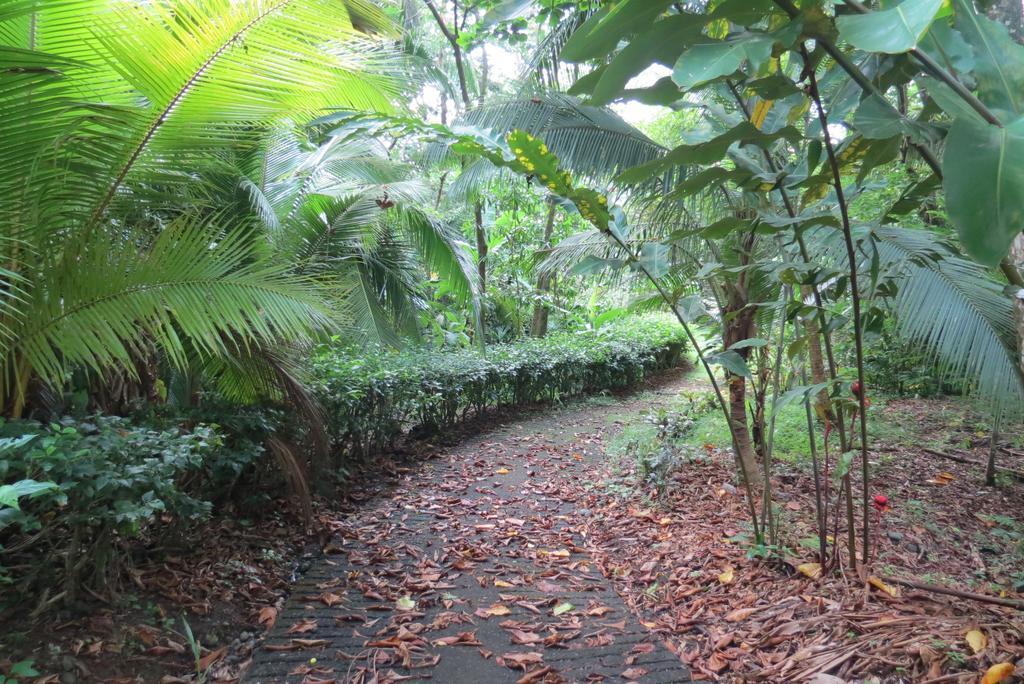 Apartamento Karibu Manuel Antonio Ruang foto