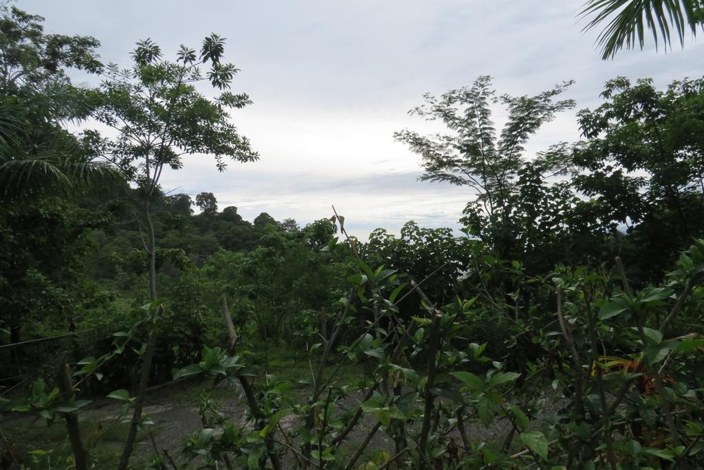 Apartamento Karibu Manuel Antonio Ruang foto